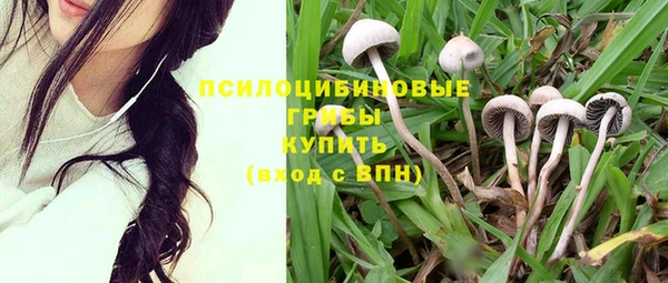 COCAINE Гусь-Хрустальный