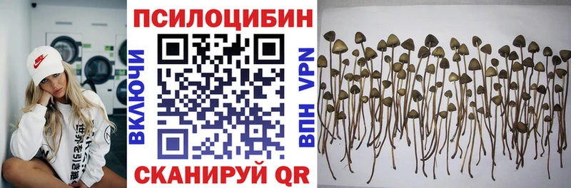 Псилоцибиновые грибы мицелий  Стерлитамак 
